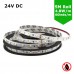 SMD3528 24V Flexible LED Strip - 5m 4.8W/m (60 LED/m) - Single colour IP21